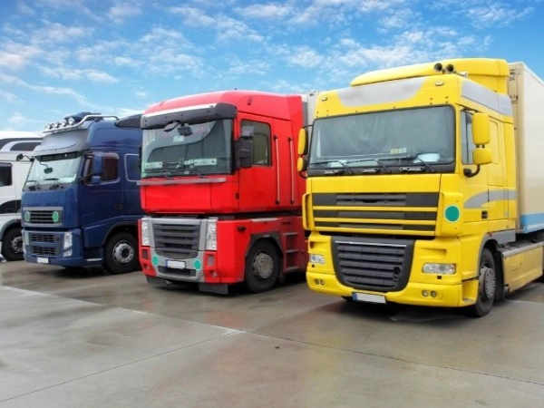 İzmir Çatalzeytin Nakliye